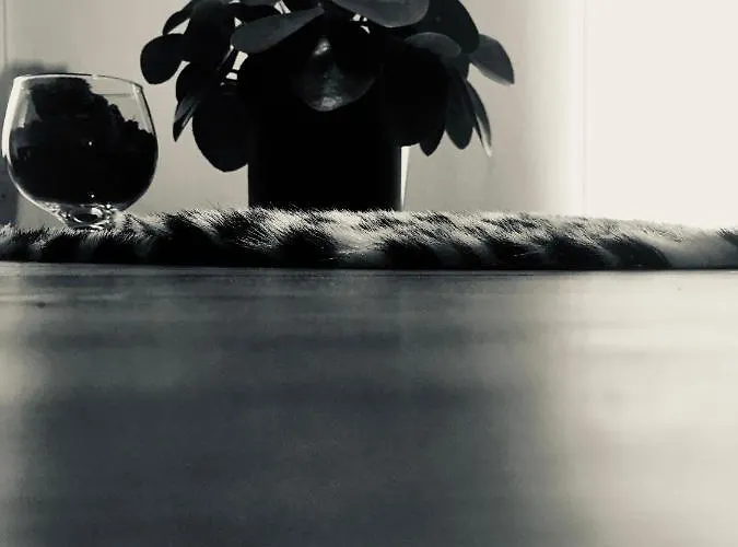 A Casa Dalla Tata Couette-café Meina